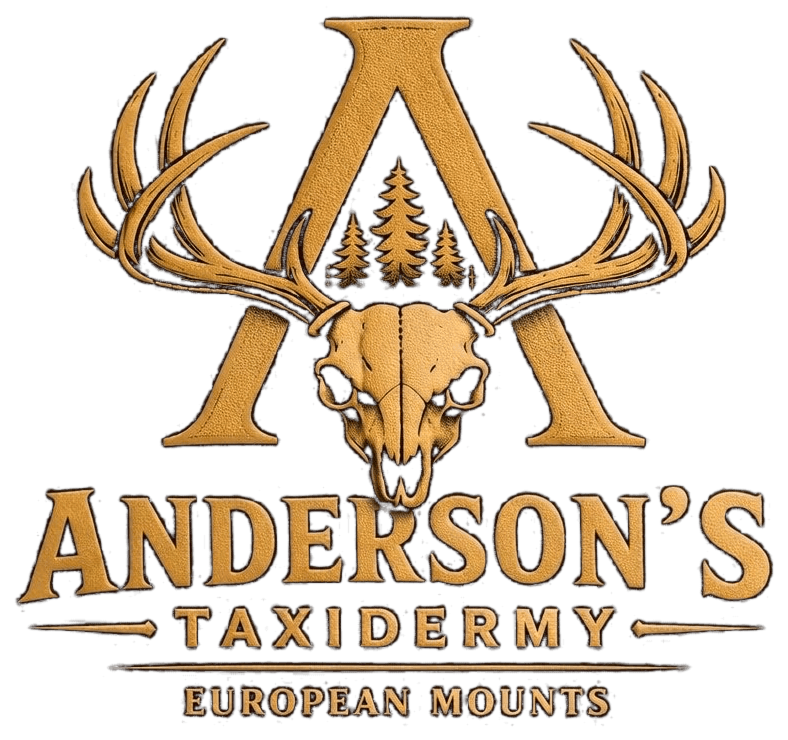 Anderson's Taxidermy - European Mounts
